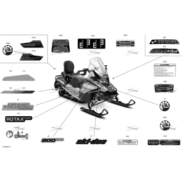 BODY - DECALS - SPORT