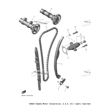 CAMSHAFT & CHAIN