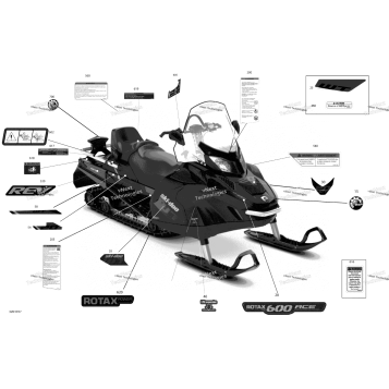 DECALS - 600 ACE - PACKAGE WT