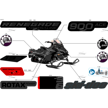 BODY - DECALS