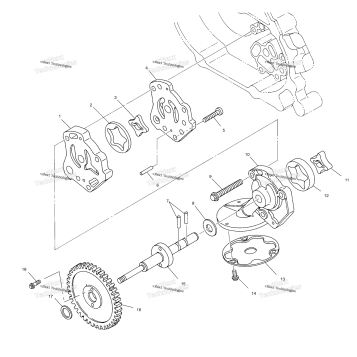 OIL PUMP ALL OPTIONS
