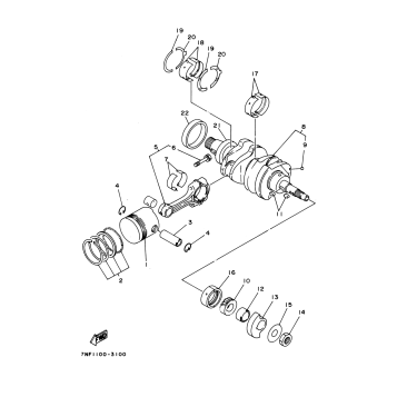 CRANKSHAFT PISTON