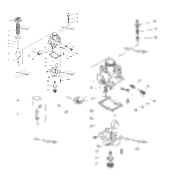 CARBURETOR ASSEMBLY 250 2X4 UPDATE