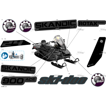 BODY - DECALS