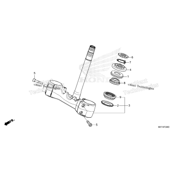 STEERING STEM (1)