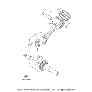 CRANKSHAFT PISTON