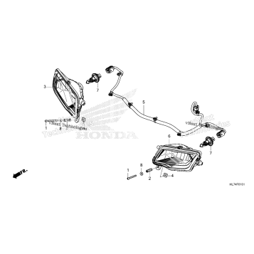 HEADLIGHT (HALOGEN)