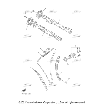 CAMSHAFT & CHAIN
