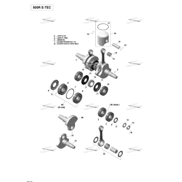 CRANKSHAFT AND PISTONS - 800R E-TEC
