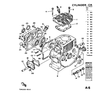 CYLINDER - CRANKCASE