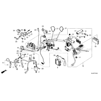 WIRE HARNESS (3)