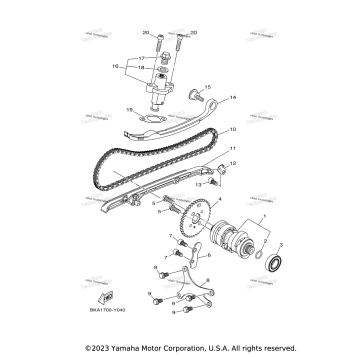 CAMSHAFT & CHAIN