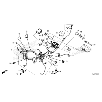 WIRE HARNESS