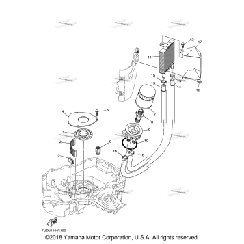 OIL COOLER