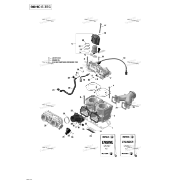 CYLINDER AND CYLINDER HEAD - 600HO E-TEC