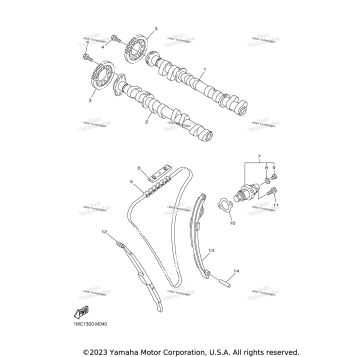 CAMSHAFT & CHAIN