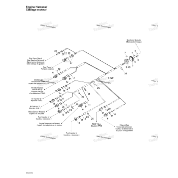 ENGINE HARNESS