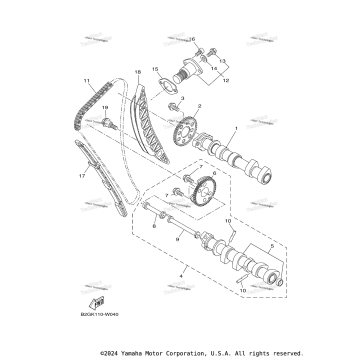 CAMSHAFT & CHAIN