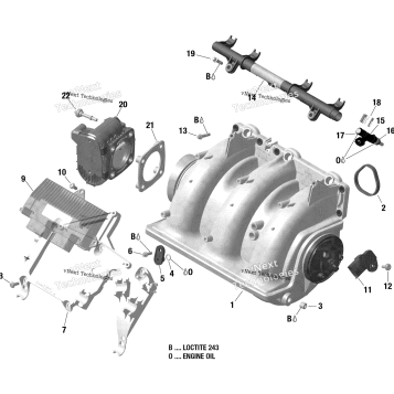 AIR INTAKE MANIFOLD AND THROTTLE BODY