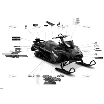 DECALS - PACKAGE EXTREME