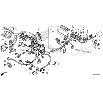 WIRE HARNESS