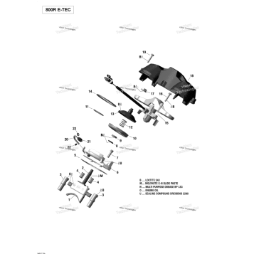 RAVE VALVE - 800R E-TEC