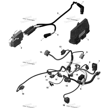 ROTAX - ENGINE HARNESS AND ELECTRONIC MODULE - WITH GRIP DIFFERENTIAL