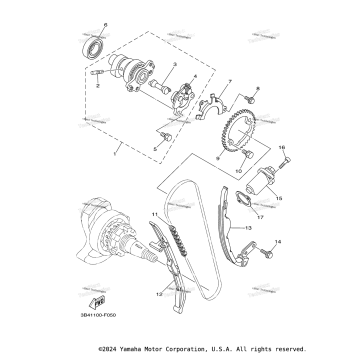 CAMSHAFT & CHAIN