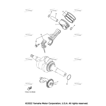 CRANKSHAFT PISTON