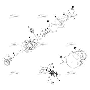 WATER PUMP / OIL PUMP