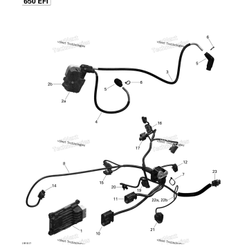ENGINE HARNESS AND ELECTRONIC MODULE