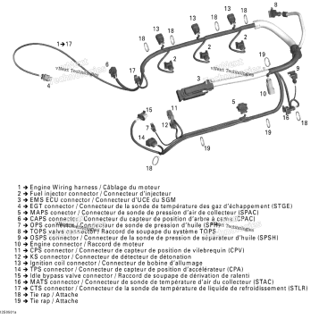 ENGINE HARNESS