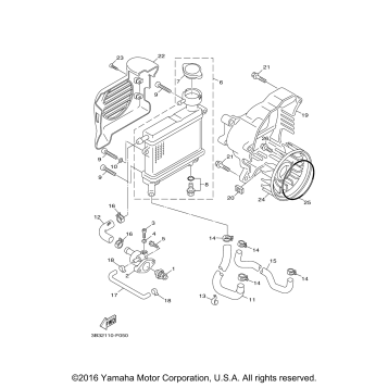 RADIATOR HOSE