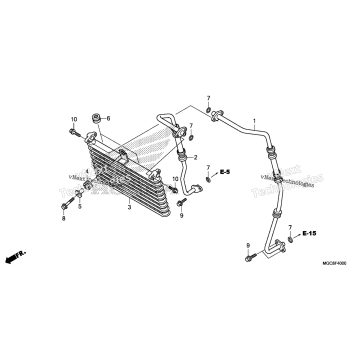 OIL COOLER
