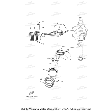 CRANKSHAFT PISTON