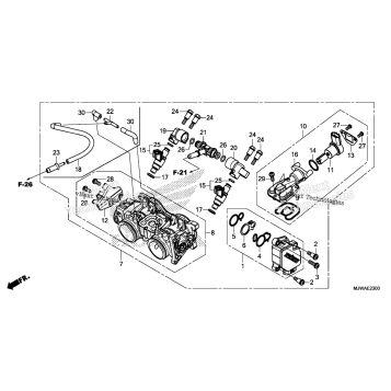 THROTTLE BODY