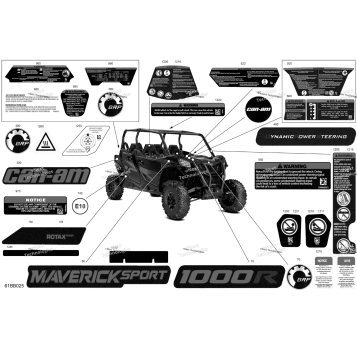 BODY - DECALS