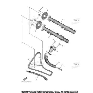 CAMSHAFT & CHAIN