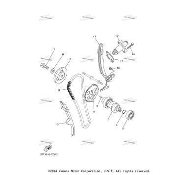 CAMSHAFT & CHAIN