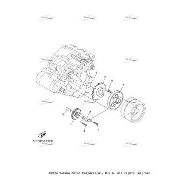 STARTER CLUTCH