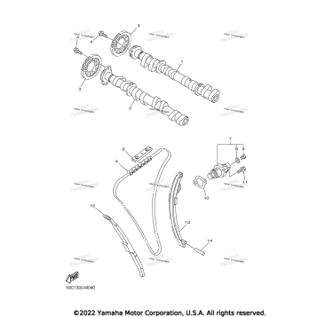 CAMSHAFT & CHAIN