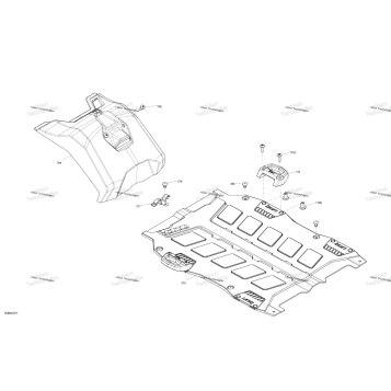 BODY - CARGO - SPORT