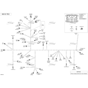 ELECTRICAL HARNESS 600 HO E-TEC