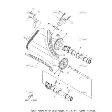 CAMSHAFT & CHAIN