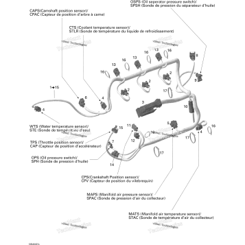 ENGINE HARNESS