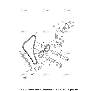 CAMSHAFT & CHAIN