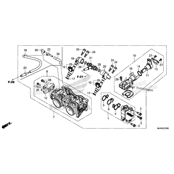THROTTLE BODY