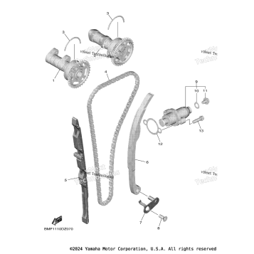 CAMSHAFT & CHAIN