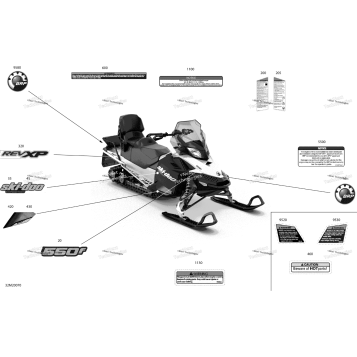 BODY - DECALS - SPORT