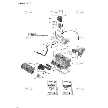 CYLINDER AND CYLINDER HEAD - 800R E-TEC